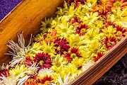 Kwiaty na Boże Ciało - co dopełni pięknej tradycji?