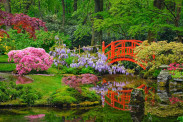 Ogród japoński, czyli szczypta orientu dookoła domu