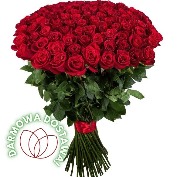 Bukiet Róż 100 szt.
