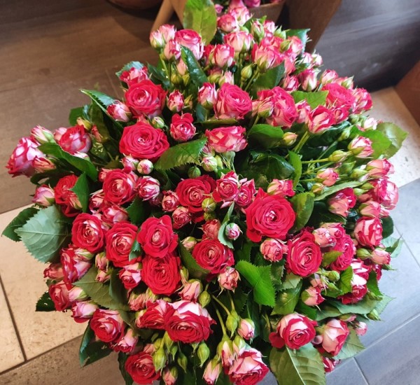 Resized_20210416_092517